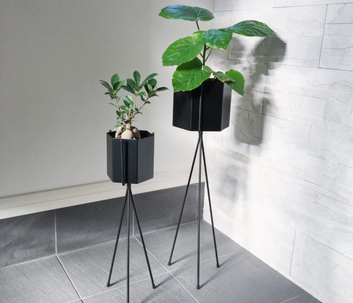 IKEAのまるでコンクリな軽量プラ鉢と新入り観葉植物♪