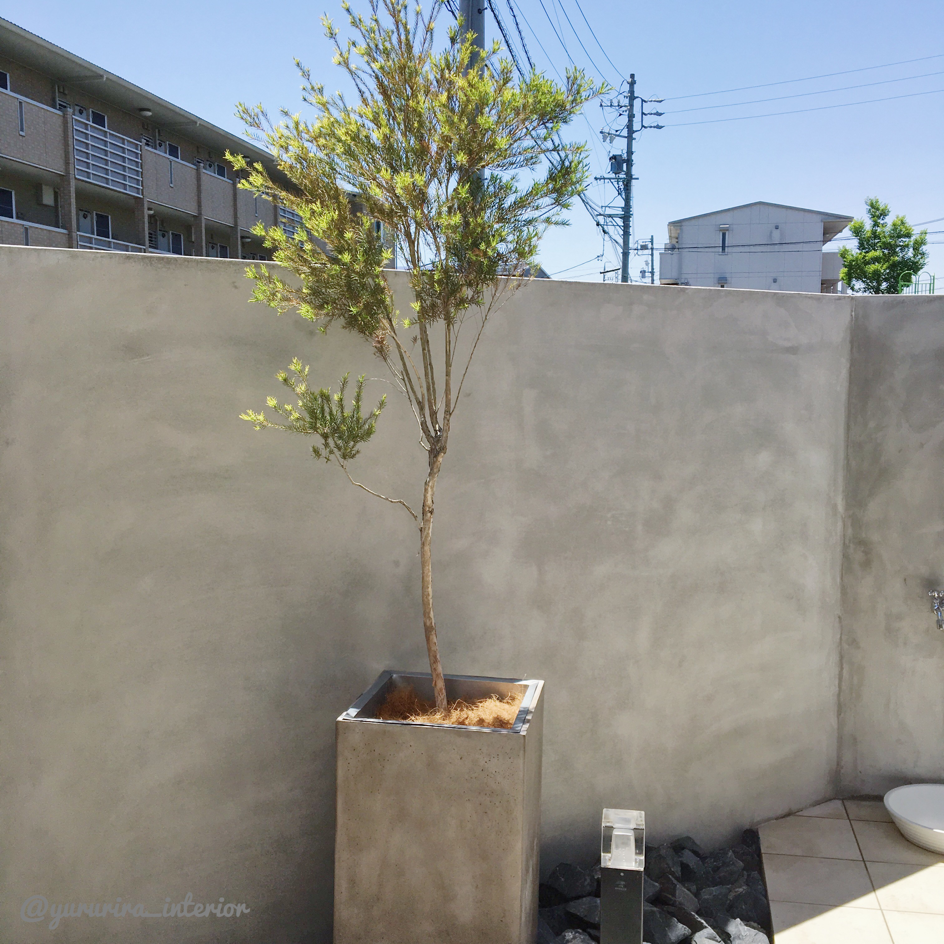 庭活 新たな植物と鉢植えが断然おしゃれ変身するマルチング材 Yururira S Interior Blog