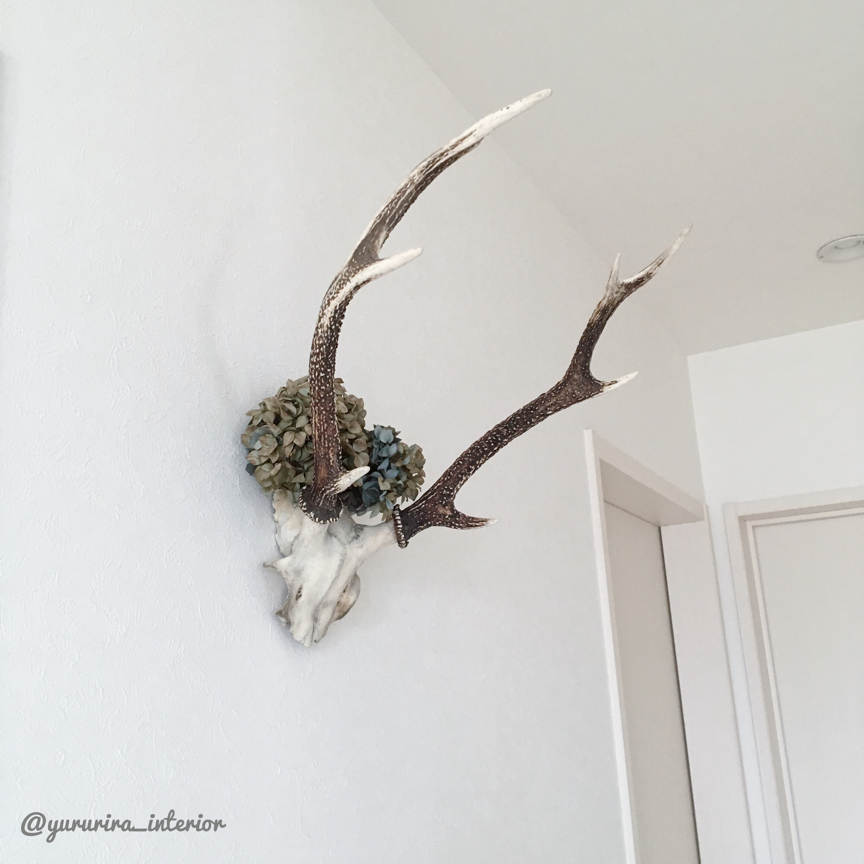 目指せ海外インテリア☆鹿の頭を2階廊下に飾りました。 | Yururira's 